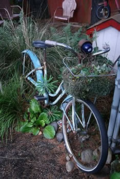gardening