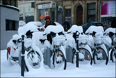 bikes
