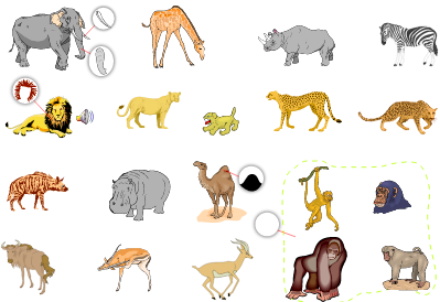 African Animals - French Vocabulary