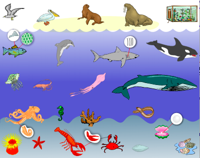 Sea Animals - Mandarin Vocabulary
