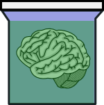 brain