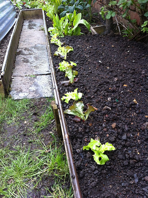 Photo by John Adams CC BY 2.0