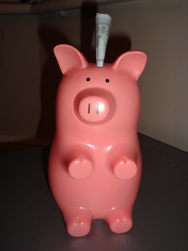 piggy bank - photo by suewells2511
