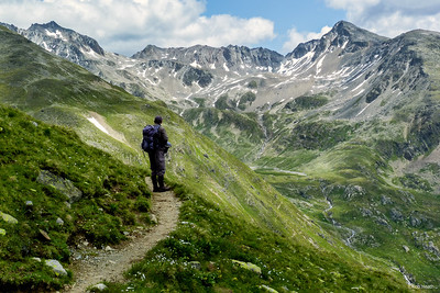  Robert J Heath's photo, licensed as CC BY 2.0