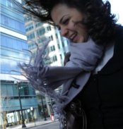 windy