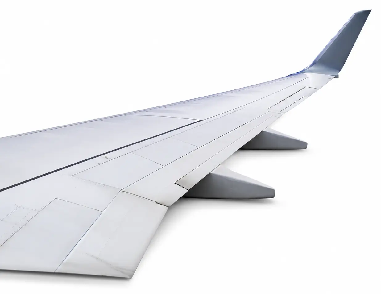 Wing