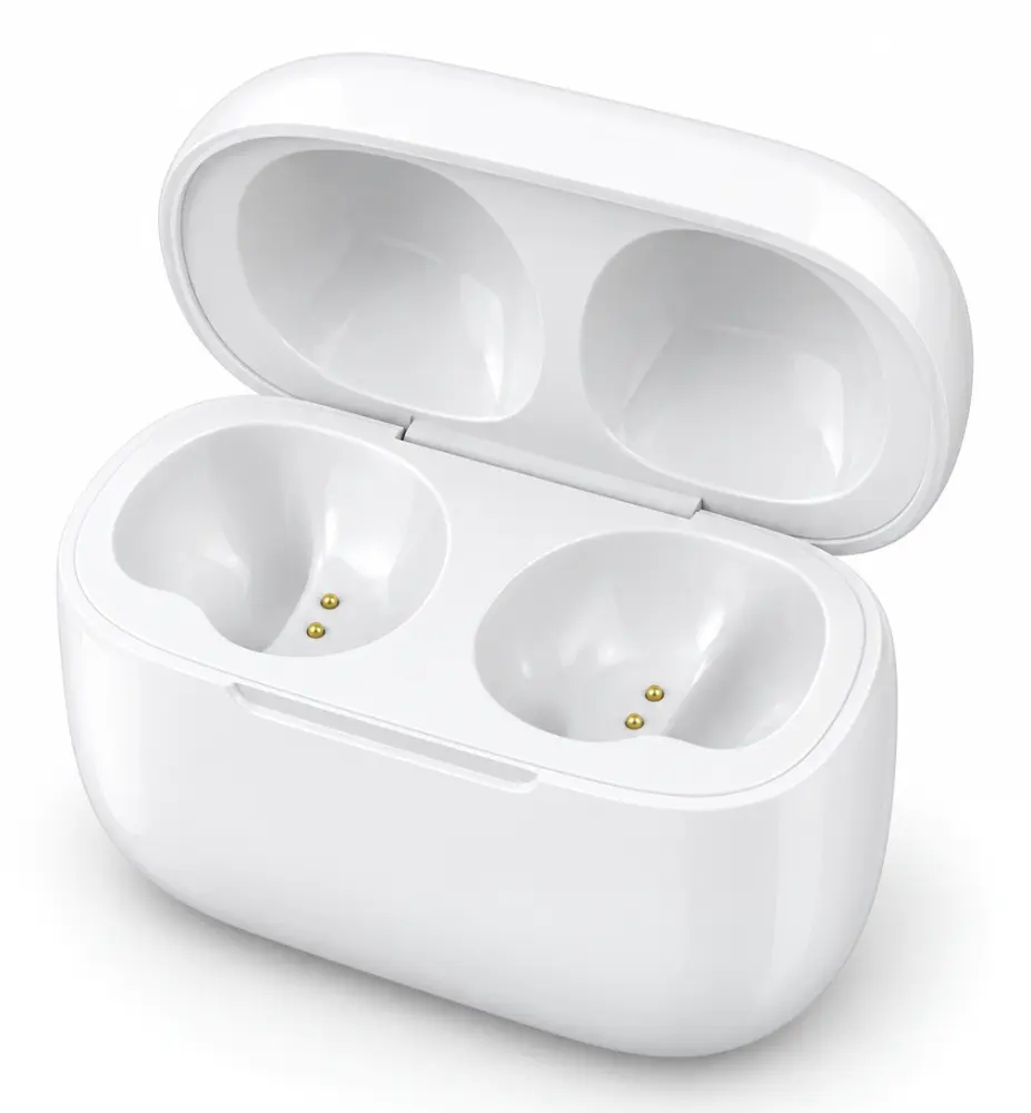 Earbuds case