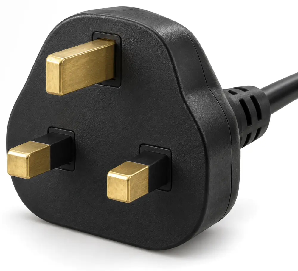 Plug