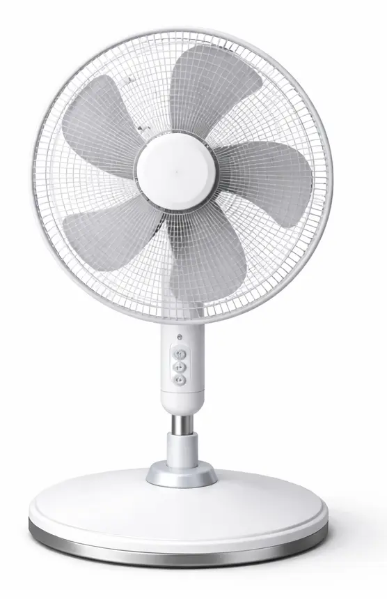 Fan