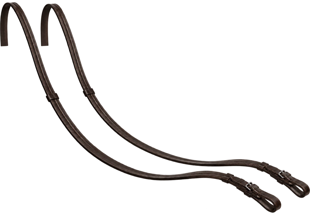 Reins