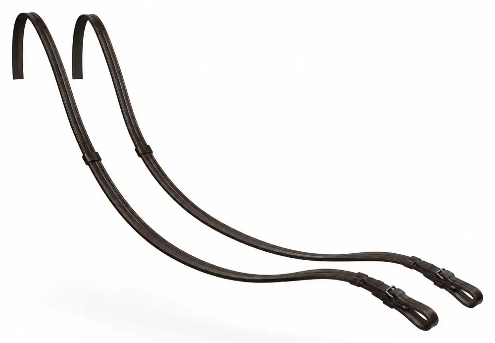 Reins
